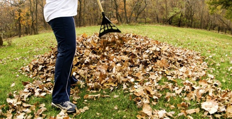 Rake up leaves