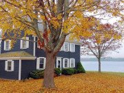 Take action in the fall for pristine outdoor spaces next year